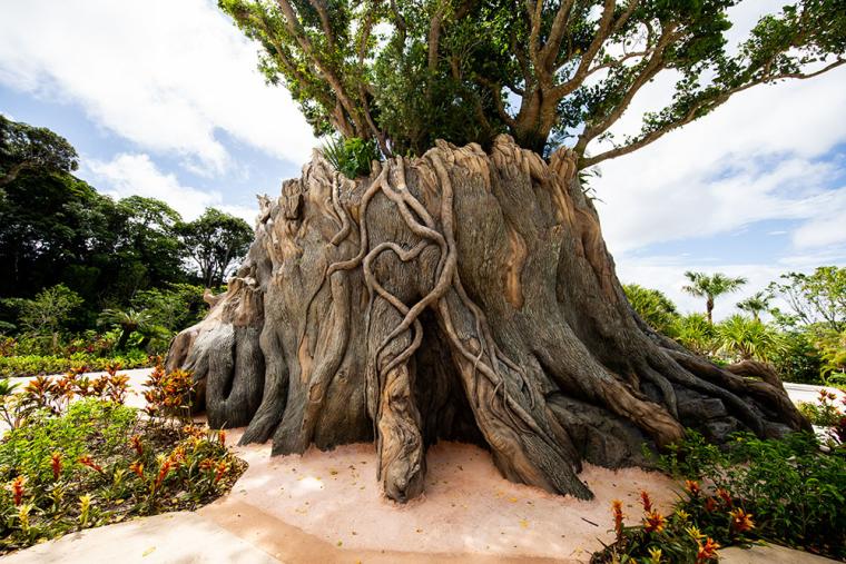 ジャングリア沖縄 シンボルツリー