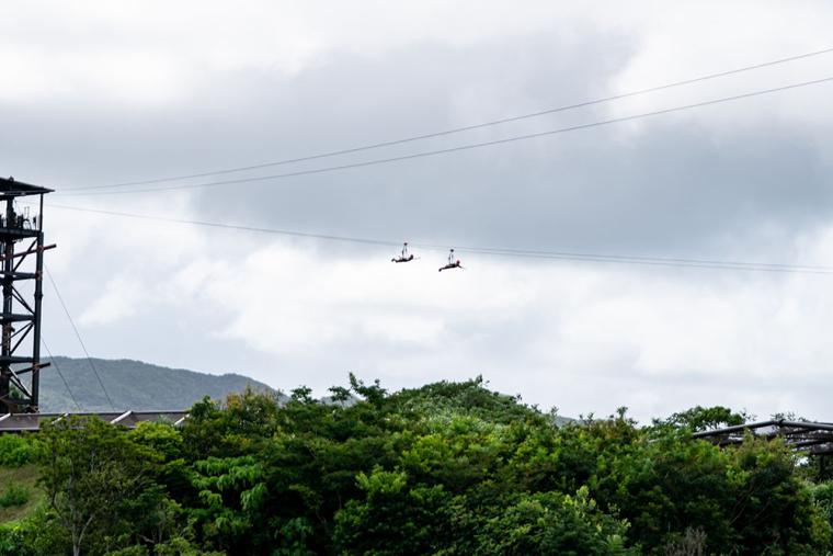 ジャングリア沖縄 スカイフェニックス