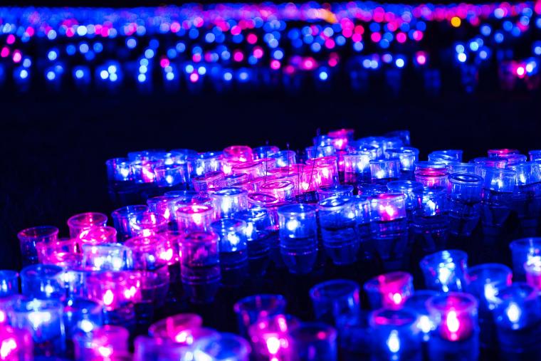 「オヂヤホタル　OJIYA HOTARU illumination」ペットボタル