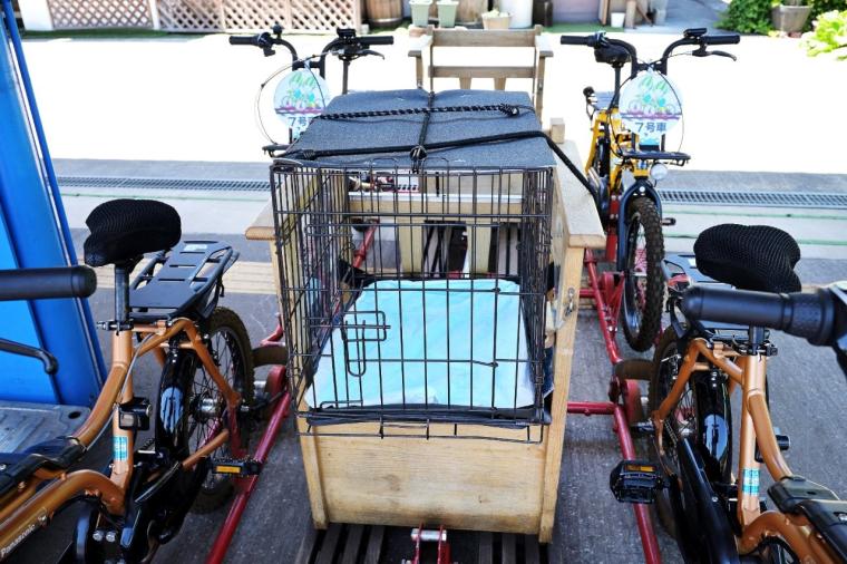 「まちなかコース」