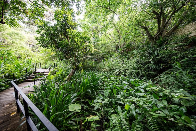 ザ・リッツ・カールトン沖縄