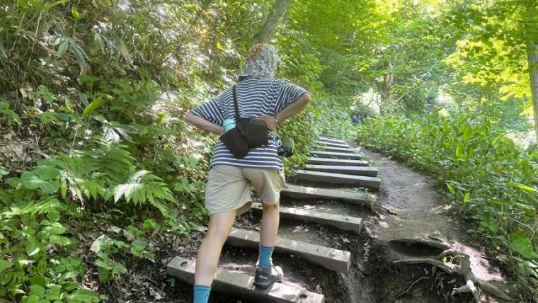 夏のお出かけに！気軽なポイントいっぱいなのに絶景＆天然記念物の大自然！【札幌・藻岩山】
