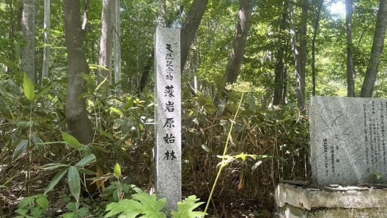 夏のお出かけに！気軽なポイントいっぱいなのに絶景＆天然記念物の大自然！【札幌・藻岩山】
