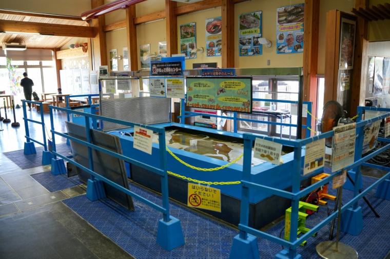 鳥取県鳥取市にあるカニが主役の水族館！無料で遊べる家族連れに人気スポット