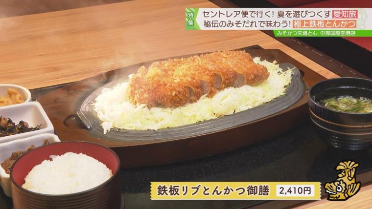 日本一近くで飛行機を眺められる！テーマパークのような中部国際空港セントレア空港！