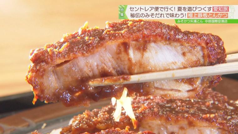 日本一近くで飛行機を眺められる！テーマパークのような中部国際空港セントレア空港！