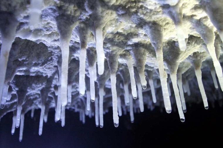 全長 5,000m！？南の島の洞くつ探検！沖縄の「玉泉洞」約 30 万年の時間が経過した鍾乳洞”未公開エリア”で夏期限定ツアー開催
