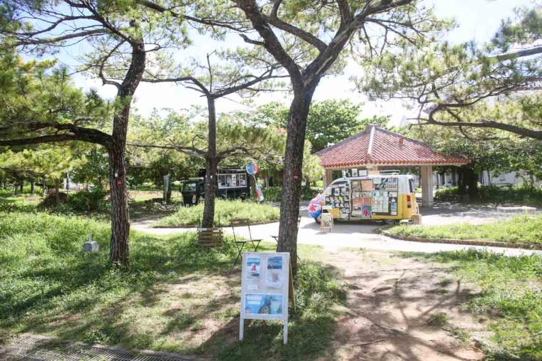 都会のまんなかにエメラルド！那覇市街からすぐ行けるオアシス「波の上ビーチ」を徹底解剖（那覇市）