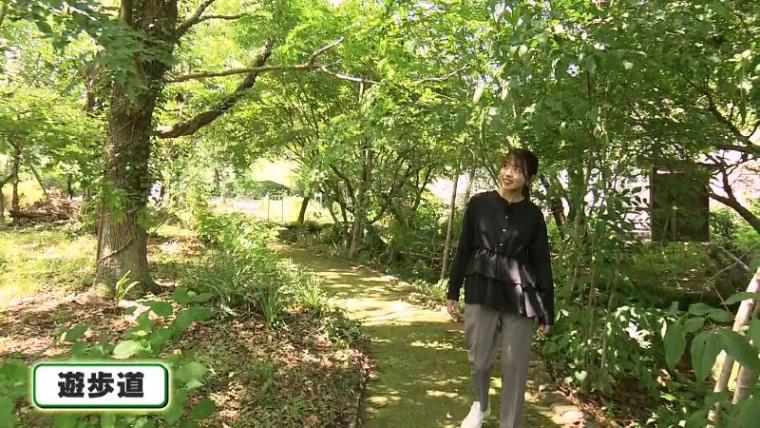 【静岡県掛川市・春林院】お寺カフェがレベル高すぎ 掛川産抹茶パフェは全部手作り 雰囲気良すぎ！