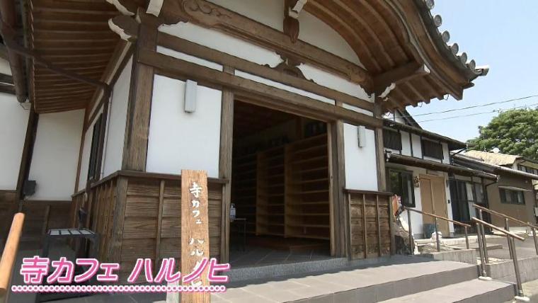 【静岡県掛川市・春林院】お寺カフェがレベル高すぎ 掛川産抹茶パフェは全部手作り 雰囲気良すぎ！
