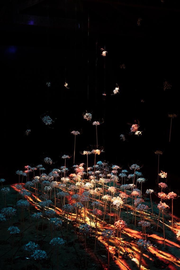 BIWAKOビエンナーレ・saiho＋林イグネル小百合「幻象の庭」