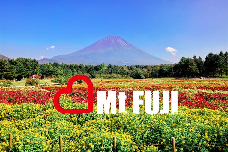 富士本栖湖リゾート「虹の花まつり」Mt. FUJI オブジェ