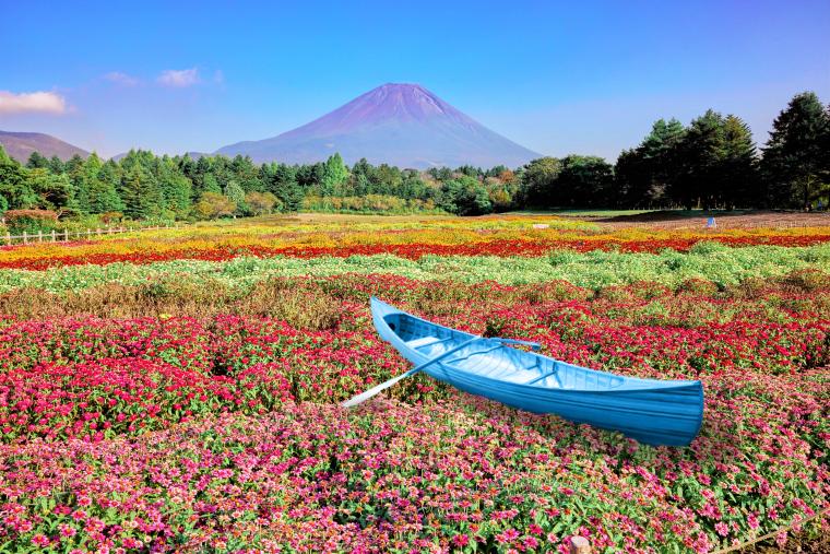 富士本栖湖リゾート「虹の花まつり」