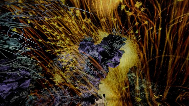 チームラボ《鳥道》