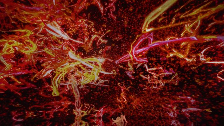 チームラボ《The Eternal Universe of Words》