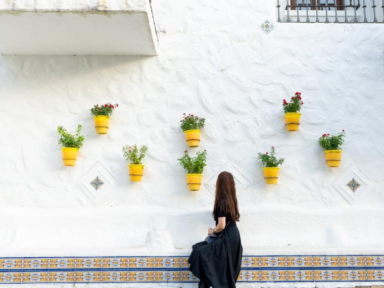 アンダルシアゾーン