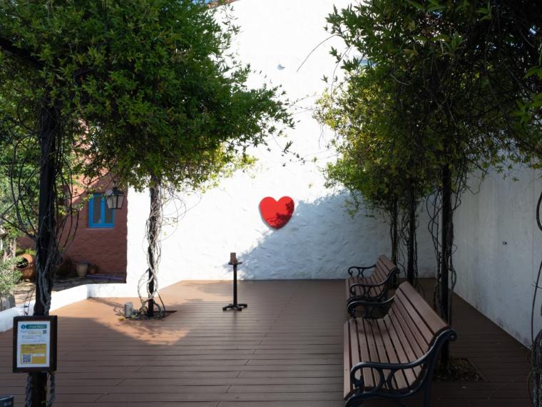 ミコノルカゾーン