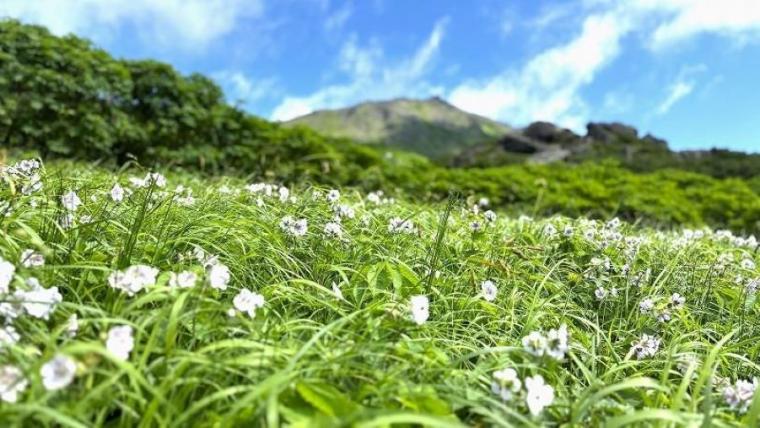「神様が遊ぶ庭」天空の世界は絶景のオンパレードと、標識にハグしたくなる達成感！【北海道・トムラウシ山】