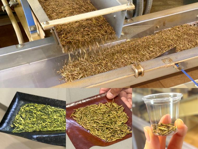 「丸八製茶場」の”献上加賀棒茶”のソフトクリームを食べに行ってきました！