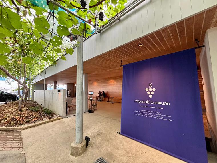 【富山のぶどう園 2025｜宮﨑ぶどう園】つみたてシャインマスカットのアイスや無添加・無加糖のぶどう 100％ジュースも