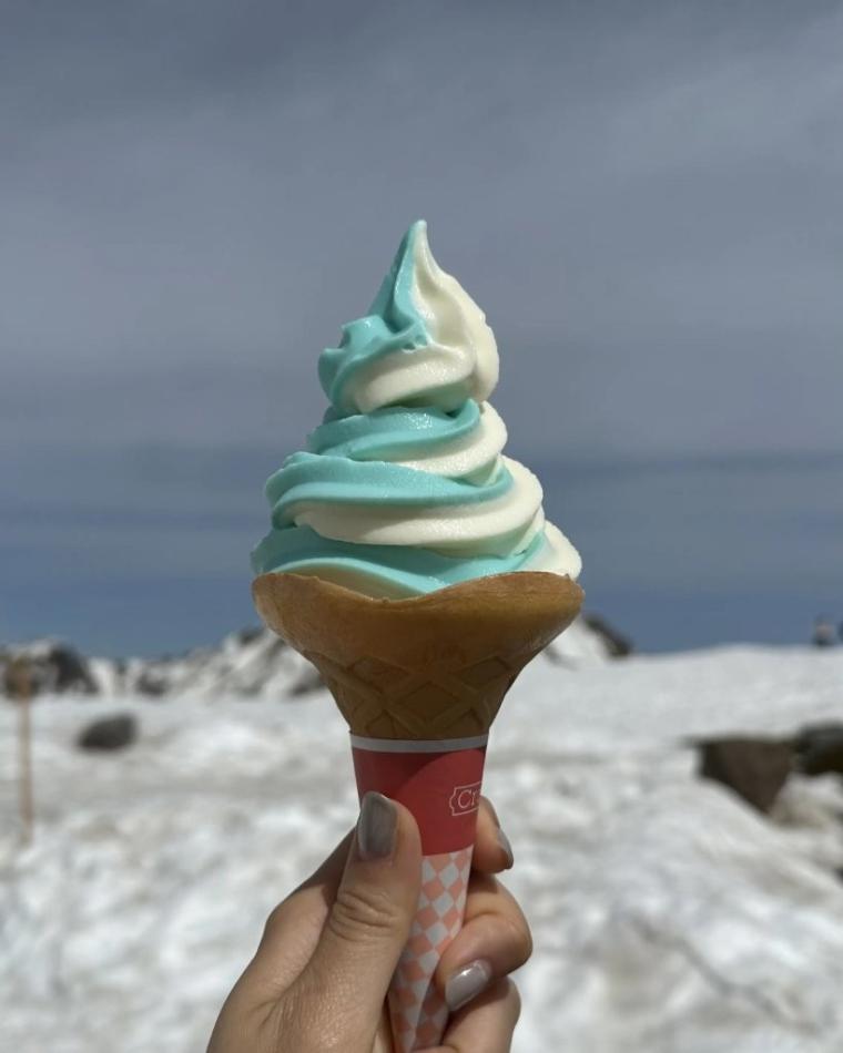 富山の紅葉 2025「室堂平｜立山黒部アルペンルート」日帰りできる標高 2450m 火山湖、天然温泉、ライチョウも