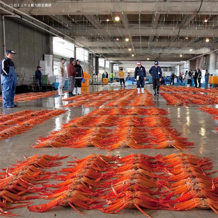 物価高でも値段据え置き!! 富山でカニなら【新湊かに小屋】水揚げ直後のカニ 60 分食べ放題 6900 円