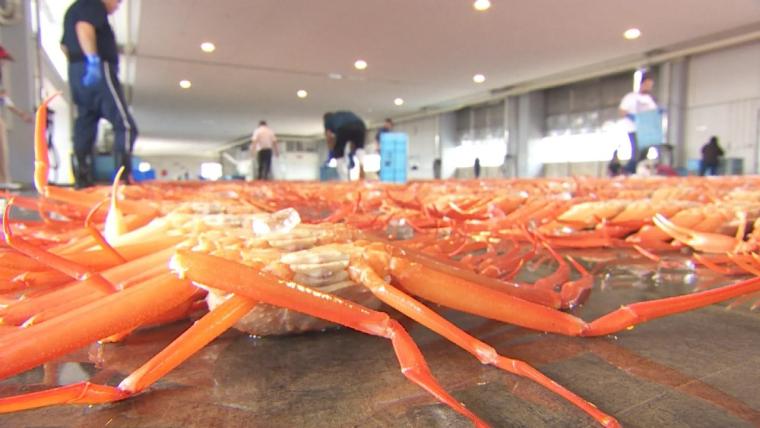 物価高でも値段据え置き!! 富山でカニなら【新湊かに小屋】水揚げ直後のカニ 60 分食べ放題 6900 円