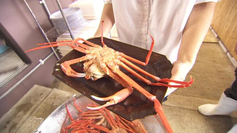 物価高でも値段据え置き!! 富山でカニなら【新湊かに小屋】水揚げ直後のカニ 60 分食べ放題 6900 円