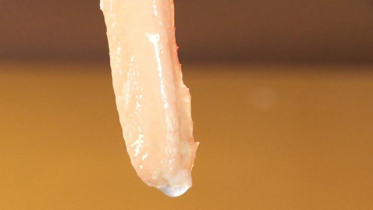 物価高でも値段据え置き!! 富山でカニなら【新湊かに小屋】水揚げ直後のカニ 60 分食べ放題 6900 円