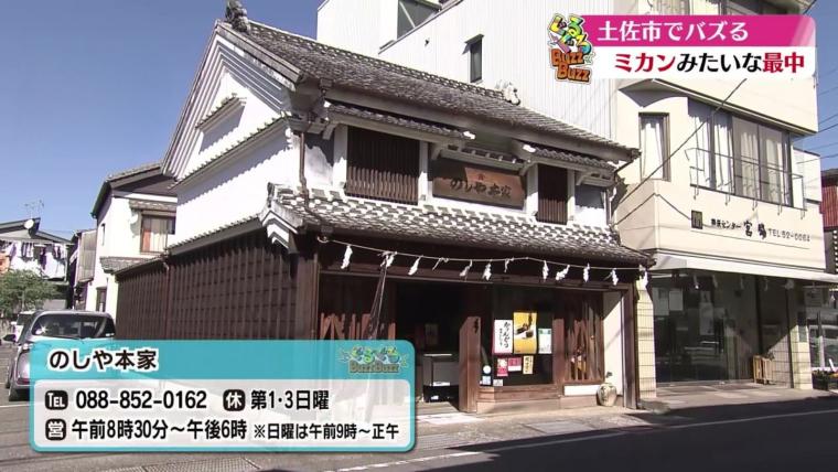 【高知】可愛いだけじゃない！100 年続く老舗和菓子店の絶品最中