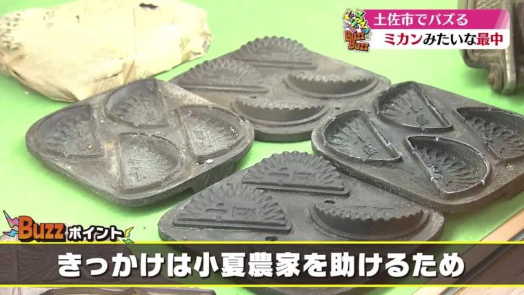 【高知】可愛いだけじゃない！100 年続く老舗和菓子店の絶品最中