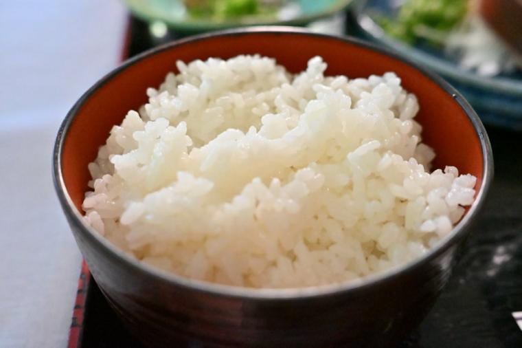 高知東旅×マグロ料理！絶品を味わう「レストラン ホテルなはり」