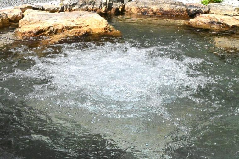 高知東旅で日帰り入浴！ヒノキ風呂と露天風呂が楽しめる「ホテルなはり」