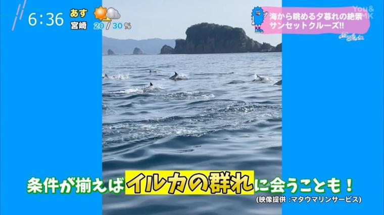 日南・油津港発 サンセットクルーズで贅沢な夕暮れ体験