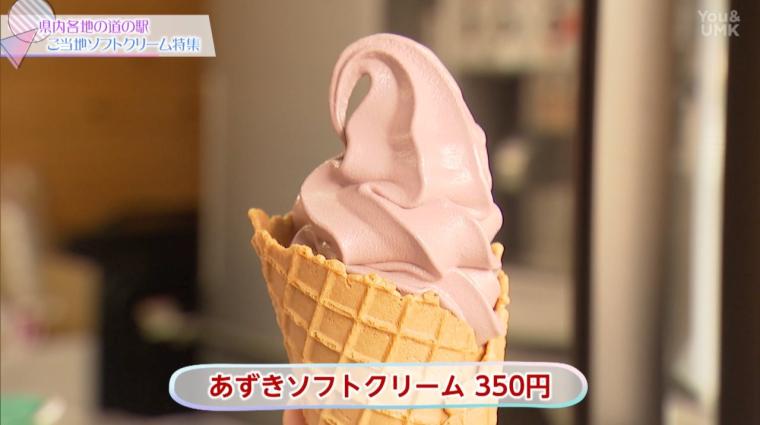 宮崎県を縦断！ご当地ソフトクリーム1日制覇チャレンジ