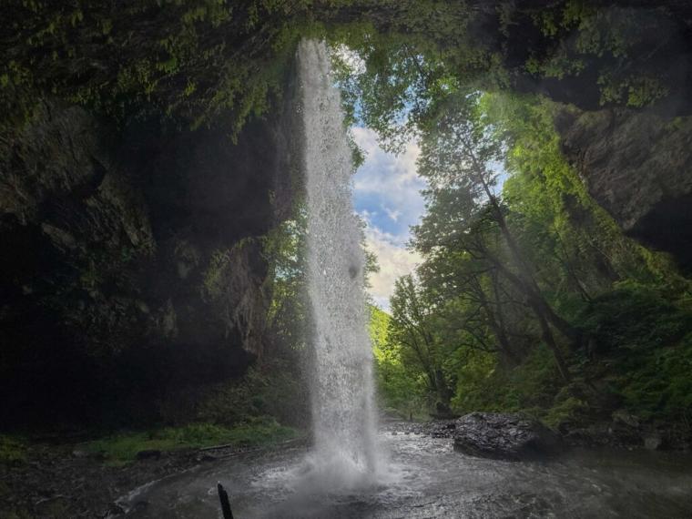 まるで異世界に来たよう…。鳥取県の山奥にある、24 メートルの高さの迫力ある滝！