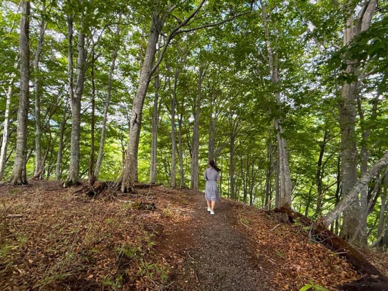まるで異世界に来たよう…。鳥取県の山奥にある、24 メートルの高さの迫力ある滝！