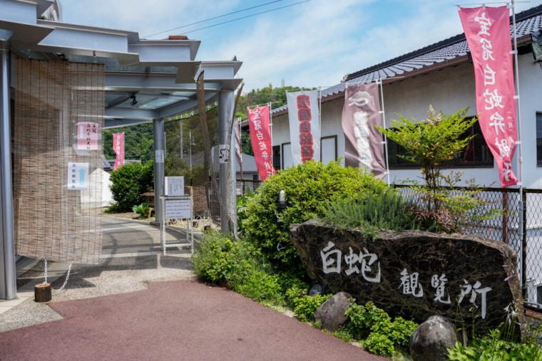 【山口県岩国市】本物のシロヘビにも会える「白蛇神社」金運アップ祈願や可愛いおみくじも