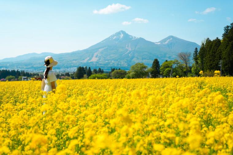 福島県・郡山の旅！ご当地グルメや猪苗代湖を大満喫する 1 泊 2 日モデルコース