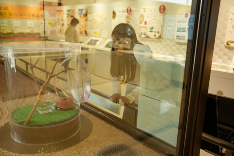 【山口県岩国市】本物のシロヘビにも会える「白蛇神社」金運アップ祈願や可愛いおみくじも