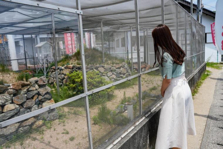 【山口県岩国市】本物のシロヘビにも会える「白蛇神社」金運アップ祈願や可愛いおみくじも