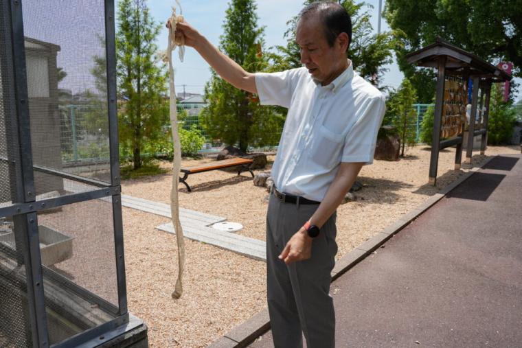 【山口県岩国市】本物のシロヘビにも会える「白蛇神社」金運アップ祈願や可愛いおみくじも