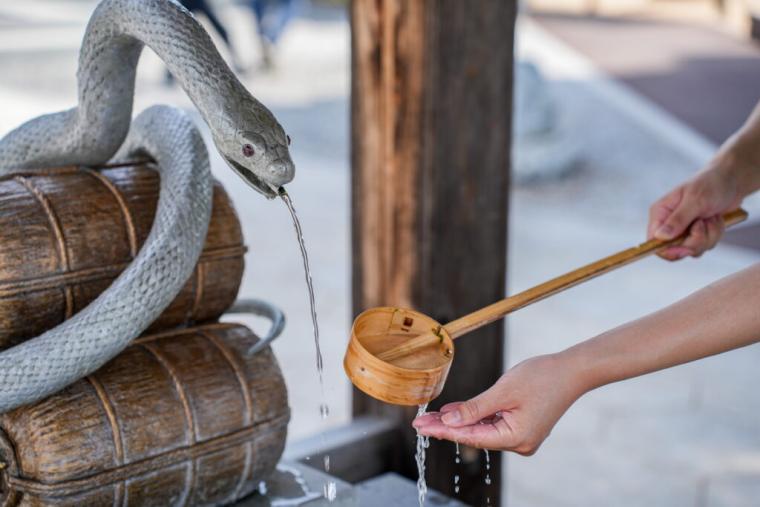 【山口県岩国市】本物のシロヘビにも会える「白蛇神社」金運アップ祈願や可愛いおみくじも