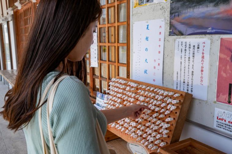【山口県岩国市】本物のシロヘビにも会える「白蛇神社」金運アップ祈願や可愛いおみくじも
