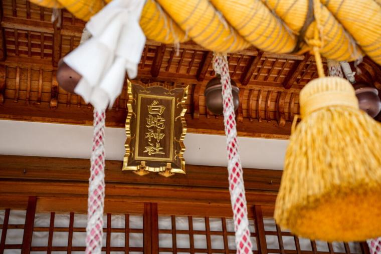 【山口県岩国市】本物のシロヘビにも会える「白蛇神社」金運アップ祈願や可愛いおみくじも