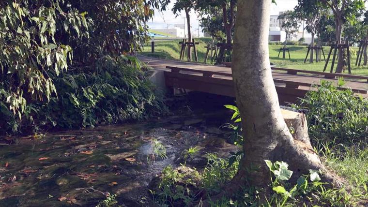 クジラ標本から土器の破片まで！北谷の地に刻まれた歴史の証「北谷町立博物館」（北谷町）