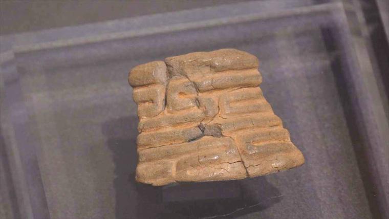 クジラ標本から土器の破片まで！北谷の地に刻まれた歴史の証「北谷町立博物館」（北谷町）