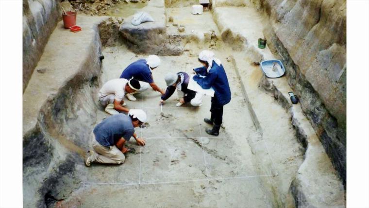クジラ標本から土器の破片まで！北谷の地に刻まれた歴史の証「北谷町立博物館」（北谷町）