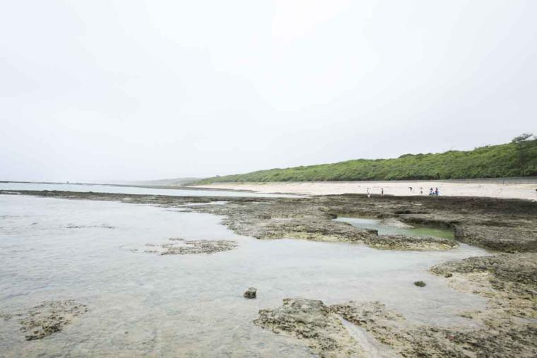 沖縄の天然水族館！神秘的なイノーが広がる、ジョン万ビーチ（大度浜海岸）の絶景と魅力を詳しく解説（糸満市）