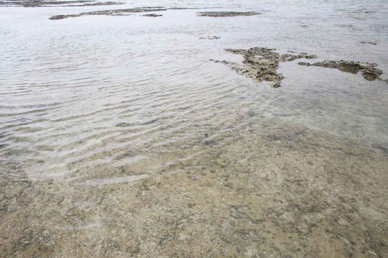 沖縄の天然水族館！神秘的なイノーが広がる、ジョン万ビーチ（大度浜海岸）の絶景と魅力を詳しく解説（糸満市）